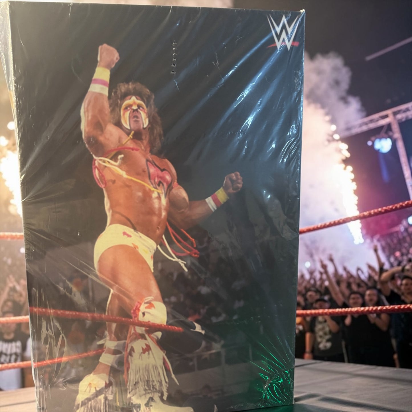 Ultimate Warrior 40×60 Framed Canvas