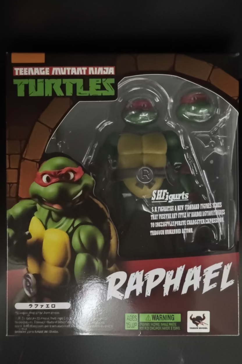Teenage Mutant Ninja Turtles Raphael 6-inch action figure in its original retail packaging, featuring a clear window view of the figure and character art on the box.