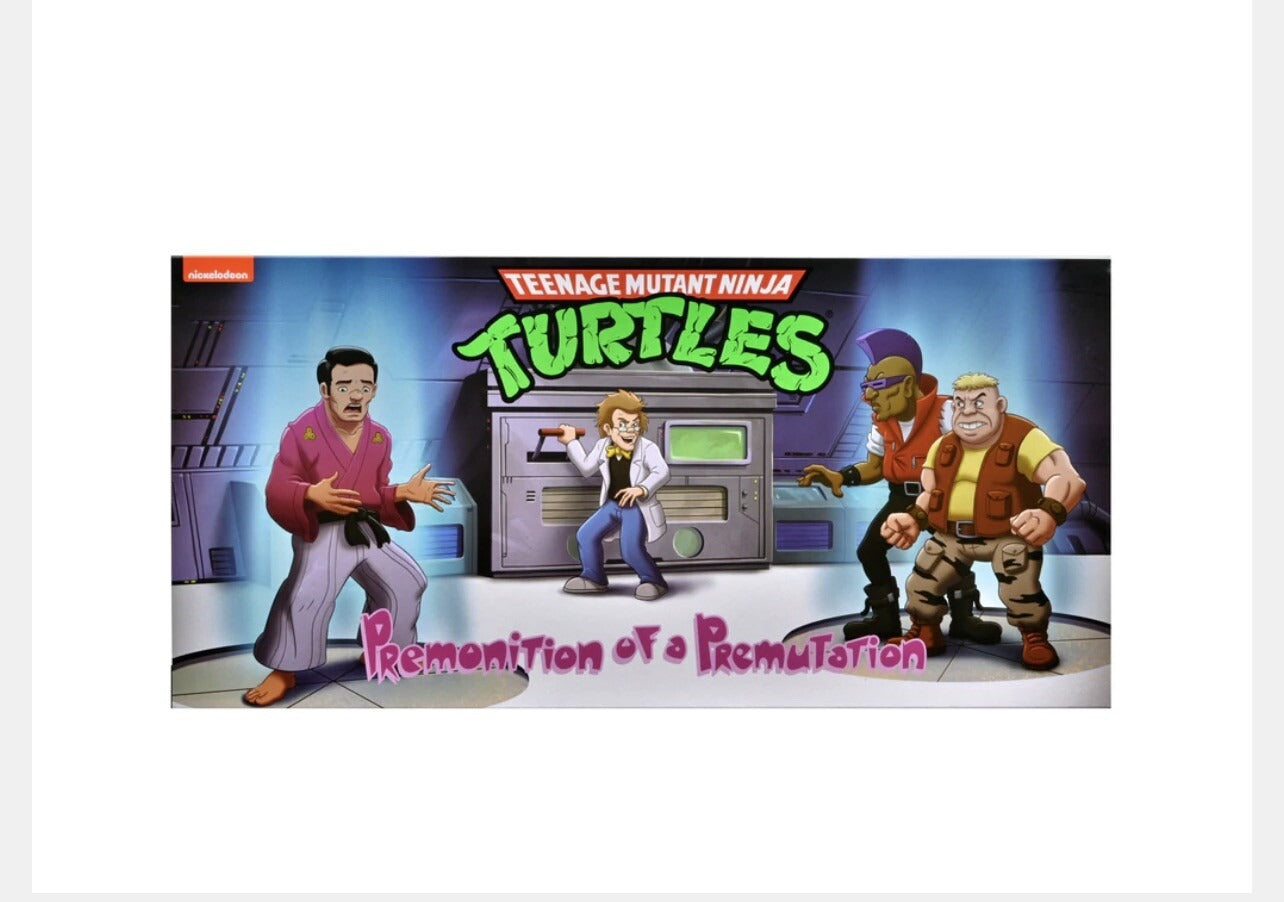 NECA TMNT Cartoon Premonition of a Premutation 4-Pack